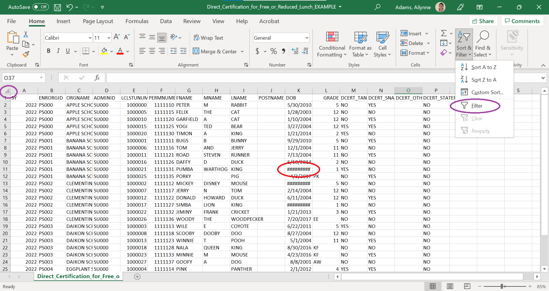Screenshot of excel using the filter tool